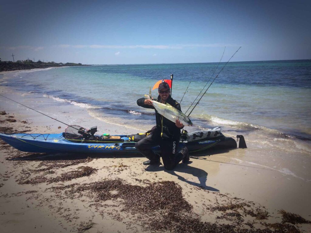 Portland Kingfish 10