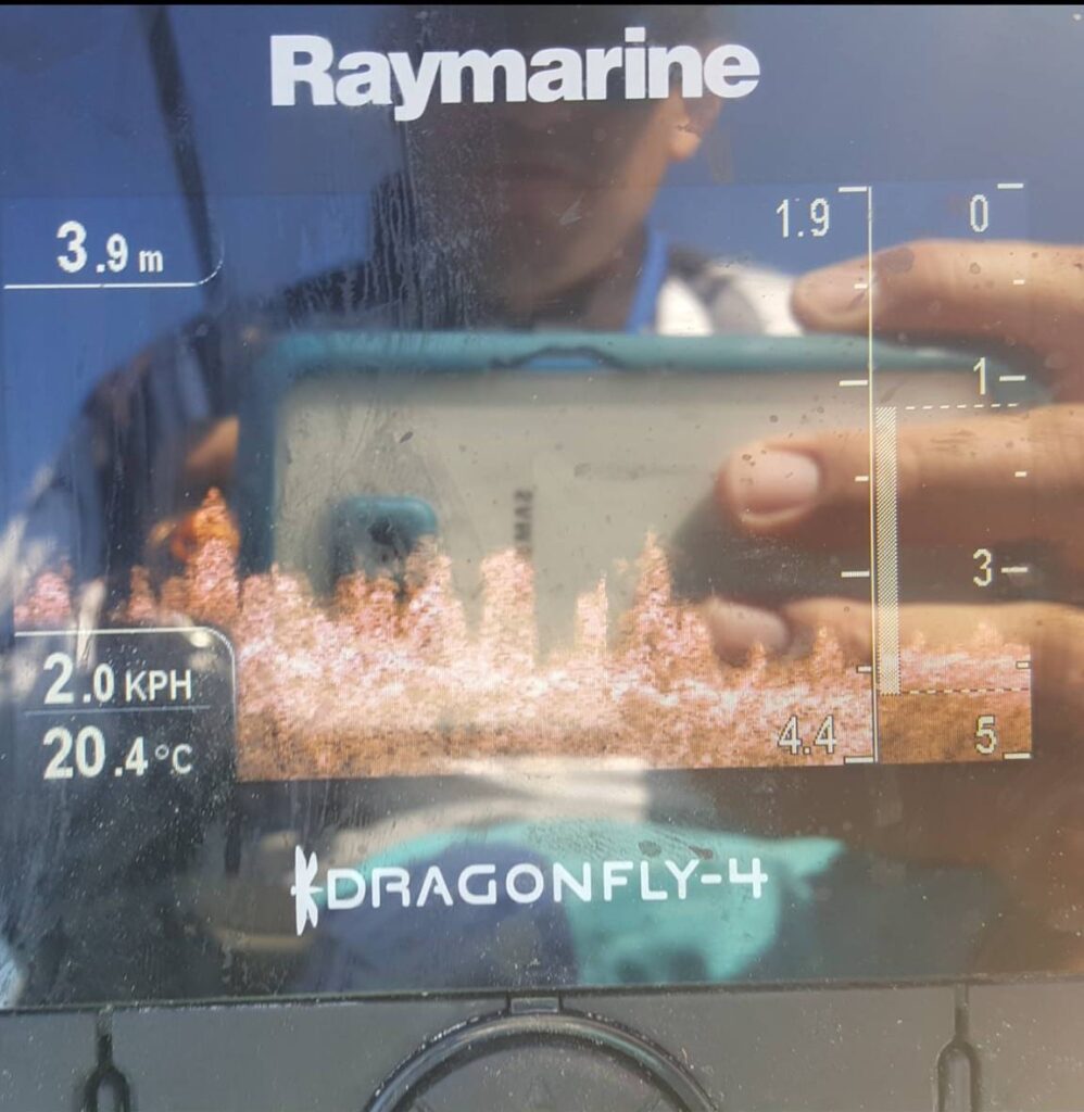 Raymarine Ready Hobie 5