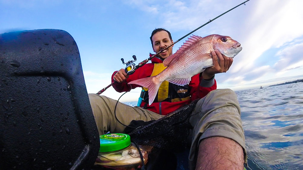 Early Season Snapper 6