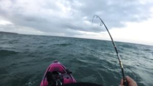 Kayak Snapper Fishing Port Phillip Bay