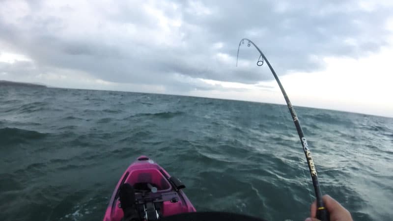Kayak Snapper Fishing Port Phillip Bay 4