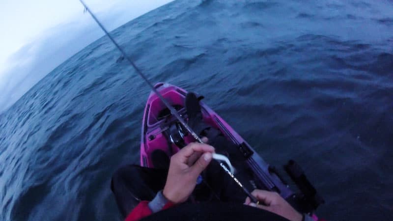 Kayak Snapper Fishing Port Phillip Bay 2