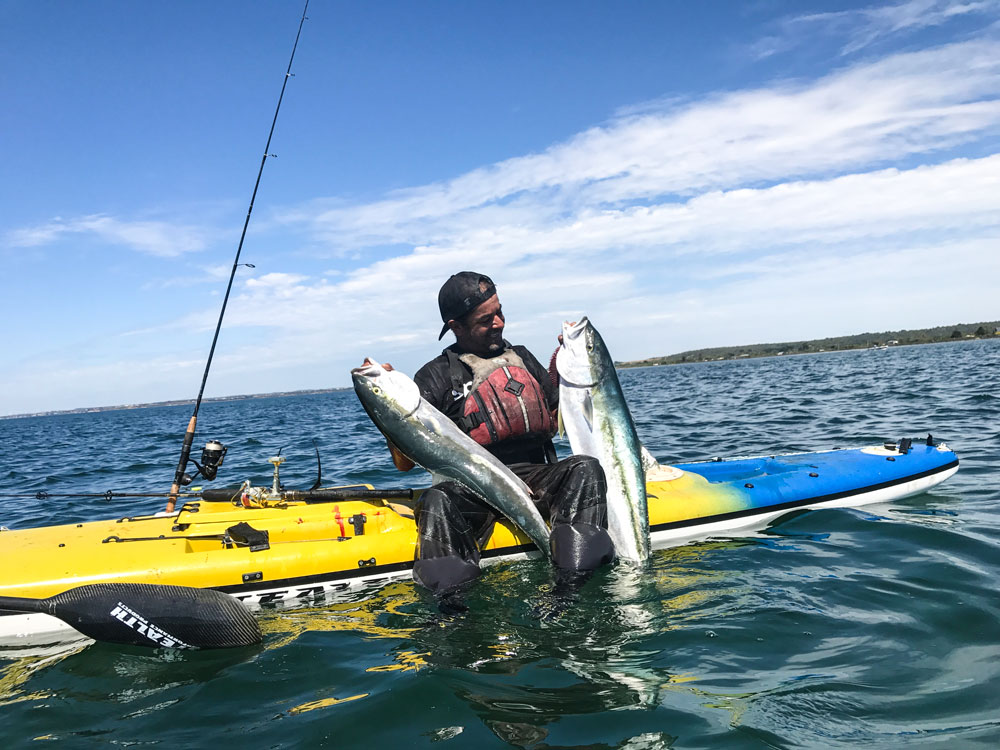 Rob Maya the King of Kingfish 9