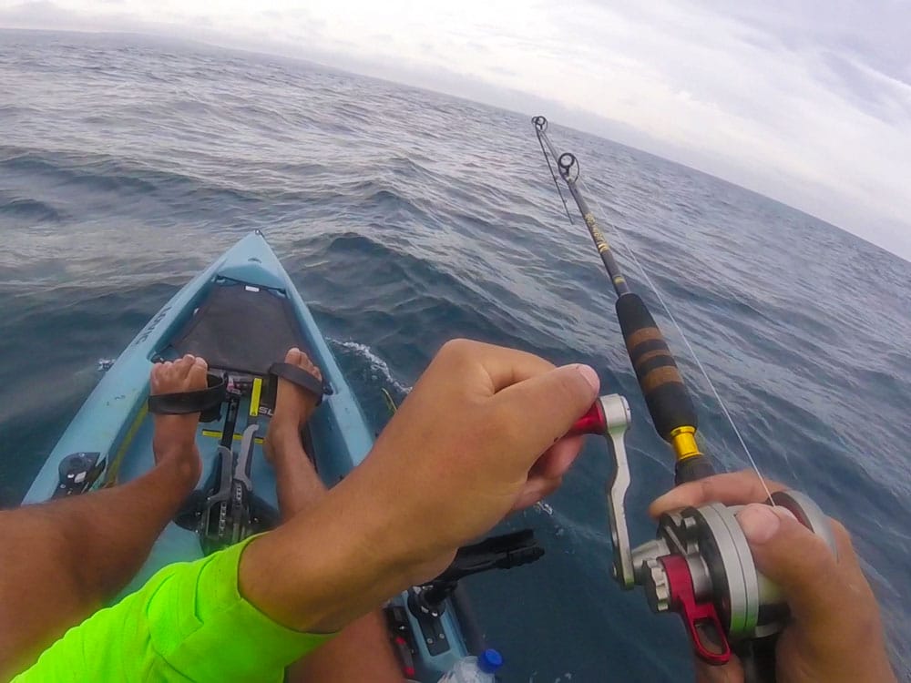 Rob Maya the King of Kingfish 7