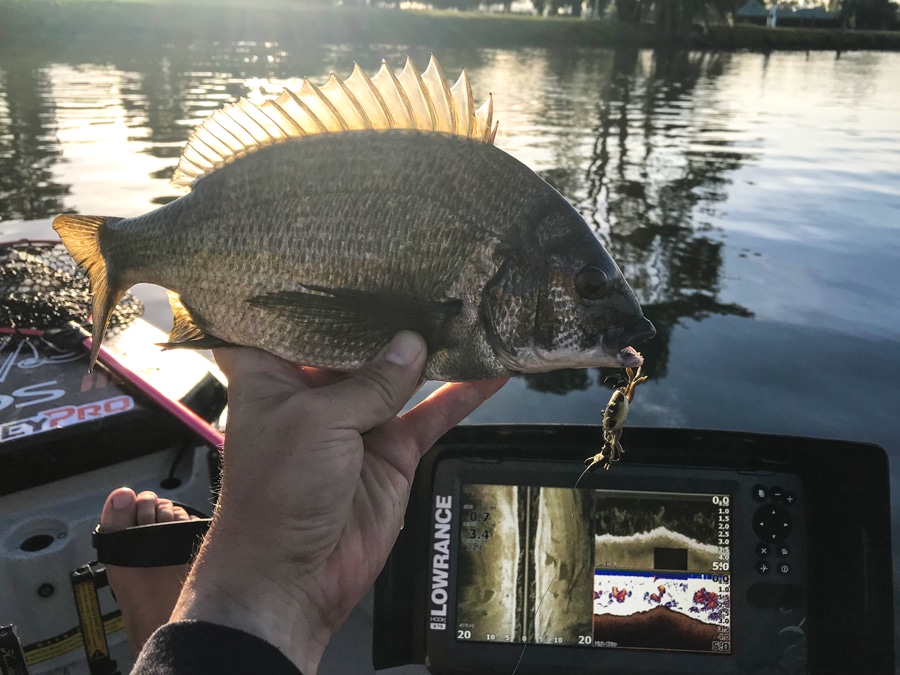 Lowrance TripleShot Ready 6