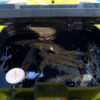 Live Bait Bro