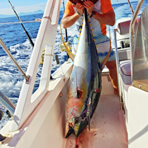 Aboard a trusty vessel, an angler beams with pride, holding aloft their sizable catch snagged by the vibrant Catch Squidwings Trolling Skirted Lure. The sea dances in the background, while fishing rods stand ready on deck.